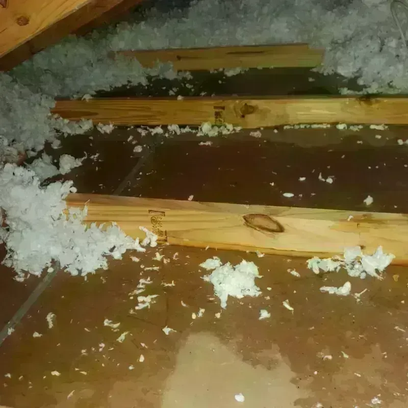 Attic Water Damage in Fair Oaks, GA